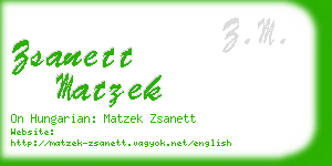 zsanett matzek business card